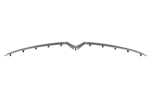 BLIC 6502-07-0538995P Trim/Protection Strip, bumper