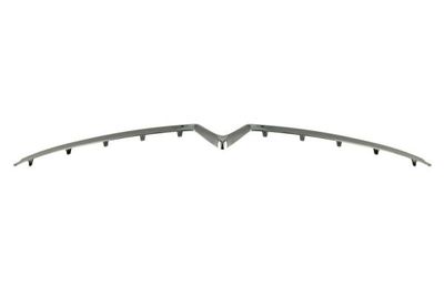 Trim/Protection Strip, bumper BLIC 6502-07-0538995P