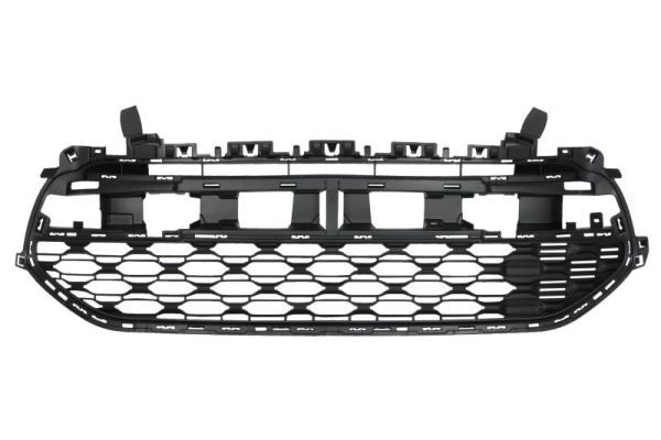 BLIC 6502-07-0538995Q Radiator Grille