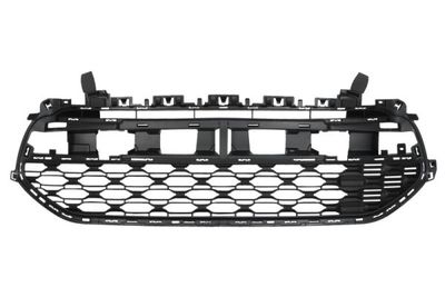 Radiator Grille BLIC 6502-07-0538995Q