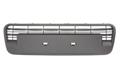 Radiator Grille BLIC 6502-07-0541992P