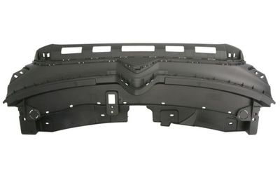 Radiator Grille BLIC 6502-07-0544992P