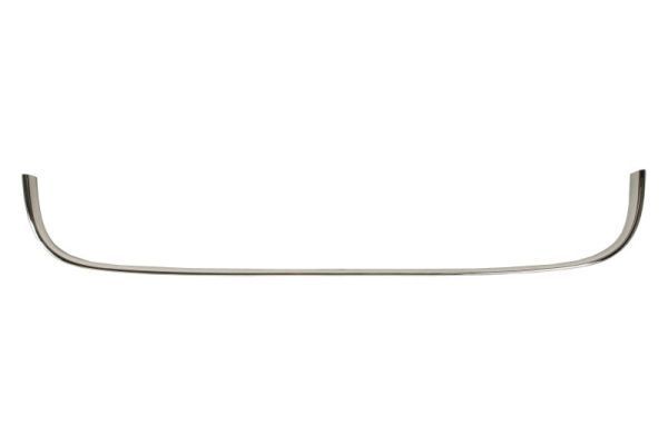 BLIC 6502-07-0552998P Trim/Protection Strip, bumper