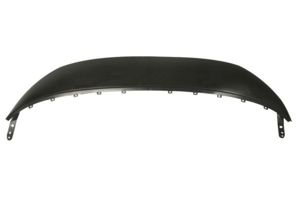 BLIC 6502-07-0554210P Cover, radiator grille