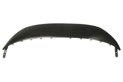 Cover, radiator grille BLIC 6502-07-0554210P