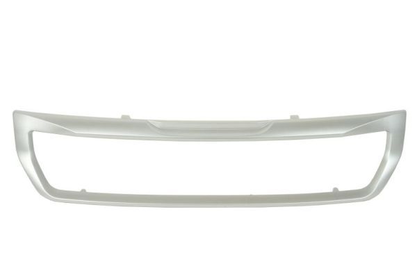 BLIC 6502-07-0554910P Trim/Protection Strip, radiator grille