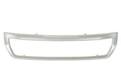 Trim/Protection Strip, radiator grille BLIC 6502-07-0554910P