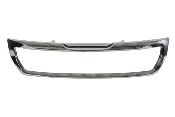 BLIC 6502-07-0554911P Trim/Protection Strip, radiator grille