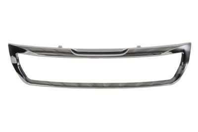 Trim/Protection Strip, radiator grille BLIC 6502-07-0554911P