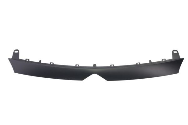 BLIC 6502-07-0554921Q Trim/Protection Strip, wing