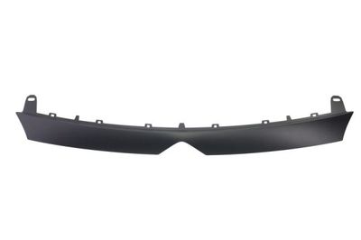 Trim/Protection Strip, wing BLIC 6502-07-0554921Q