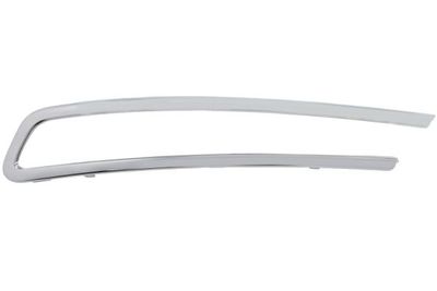Trim/Protection Strip, radiator grille BLIC 6502-07-0554995P