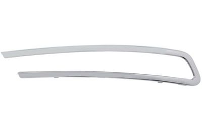 Trim/Protection Strip, radiator grille BLIC 6502-07-0554996P