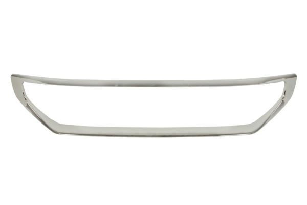 BLIC 6502-07-0562991P Trim/Protection Strip, radiator grille