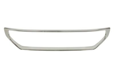 Trim/Protection Strip, radiator grille BLIC 6502-07-0562991P
