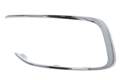 Trim/Protection Strip, bumper BLIC 6502-07-0563922P