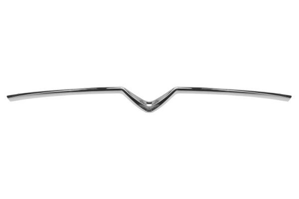 BLIC 6502-07-0563991P Trim/Protection Strip, radiator grille
