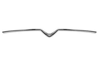 Trim/Protection Strip, radiator grille BLIC 6502-07-0563991P