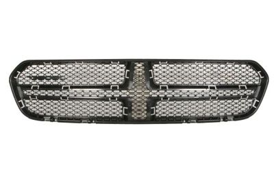 Radiator Grille BLIC 6502-07-0926990P