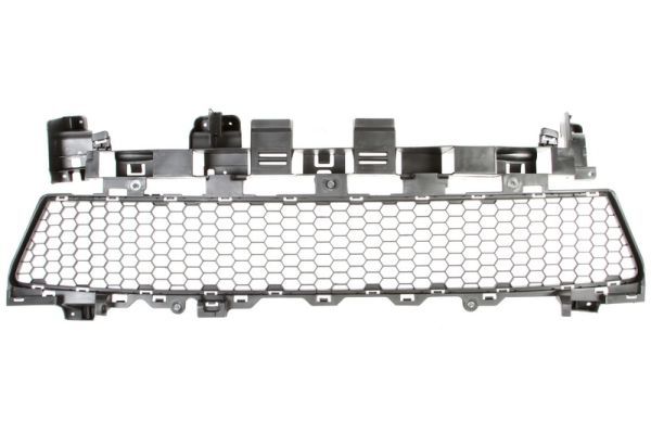 BLIC 6502-07-1303910P Ventilation Grilles, bumper