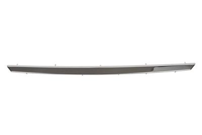 Trim/Protection Strip, radiator grille BLIC 6502-07-1303992P