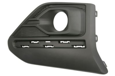 Ventilation Grille, bumper BLIC 6502-07-1307914P