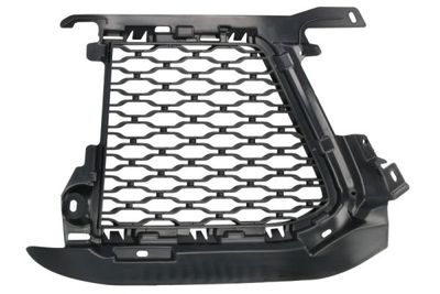 Ventilation Grille, bumper BLIC 6502-07-2003993P