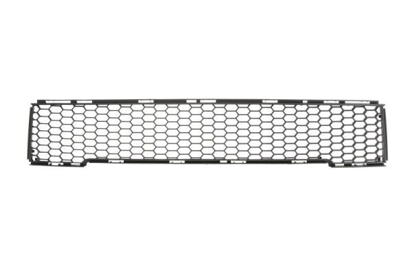 BLIC 6502-07-2013910Q Trim/Protection Strip, bumper