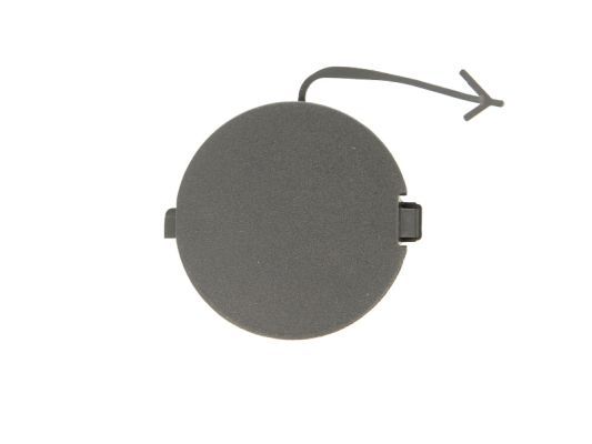 BLIC 6502-07-2024925P Flap, tow hook