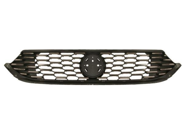 BLIC 6502-07-2030991P Radiator Grille