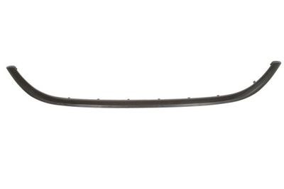 Trim/Protection Strip, radiator grille BLIC 6502-07-2030992P