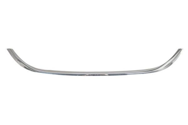 BLIC 6502-07-2030993P Trim/Protection Strip, radiator grille