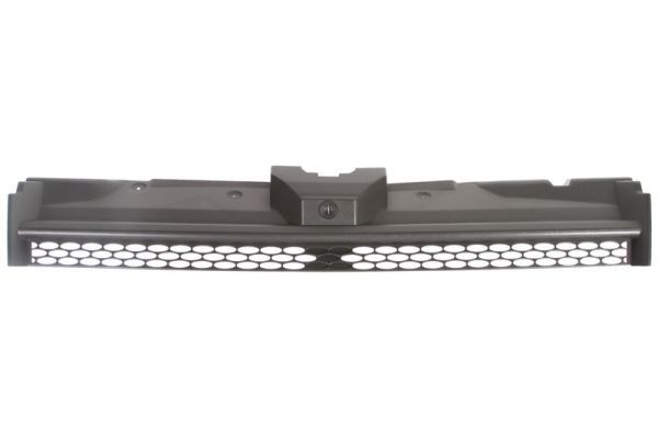 BLIC 6502-07-2507990P Radiator Grille