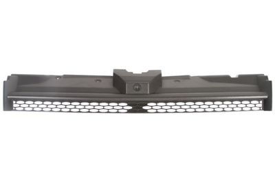 Radiator Grille BLIC 6502-07-2507990P
