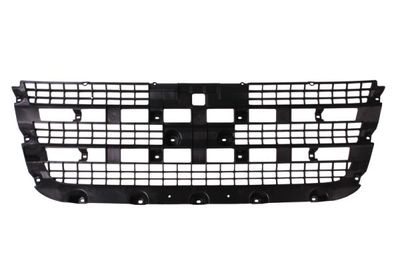 Radiator Grille BLIC 6502-07-2510990P