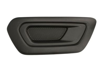 Ventilation Grilles, bumper BLIC 6502-07-2517992P