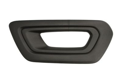 Ventilation Grilles, bumper BLIC 6502-07-2517993P