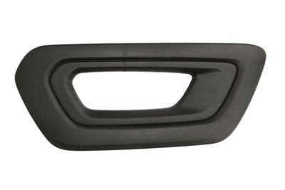 Ventilation Grilles, bumper BLIC 6502-07-2517994P