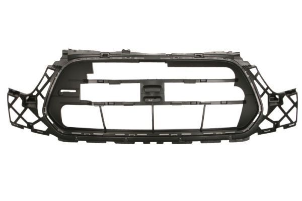 BLIC 6502-07-2518995P Radiator Grille