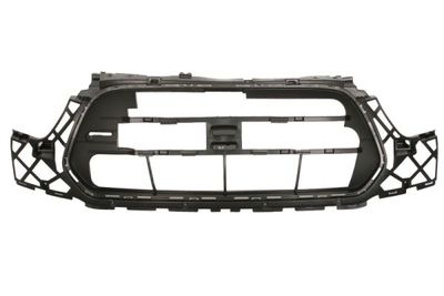 Radiator Grille BLIC 6502-07-2518995P