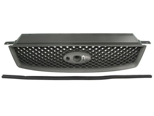 BLIC 6502-07-2534990P Radiator Grille