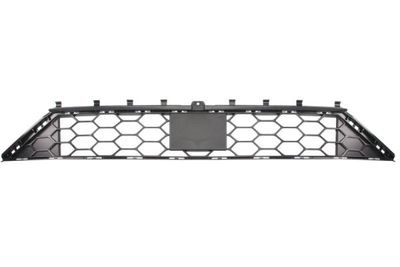 Ventilation Grille, bumper BLIC 6502-07-2537916P