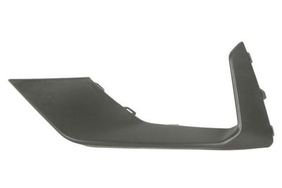 Trim/Protection Strip, bumper BLIC 6502-07-2537921PP