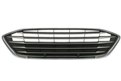 Radiator Grille BLIC 6502-07-2537992P
