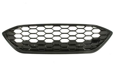Radiator Grille BLIC 6502-07-2537993P