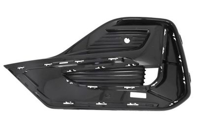 Ventilation Grille, bumper BLIC 6502-07-2538911P