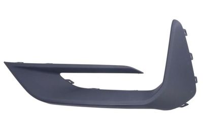 Trim/Protection Strip, bumper BLIC 6502-07-2538921P