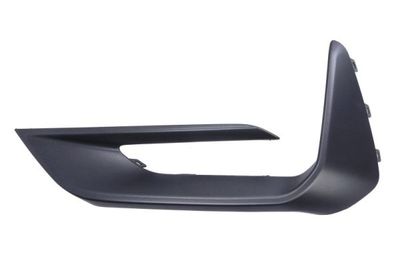 Trim/Protection Strip, bumper BLIC 6502-07-2538923P