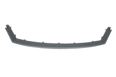 Trim/Protection Strip, radiator grille BLIC 6502-07-2555991P