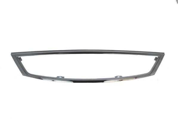 BLIC 6502-07-2555996Q Trim/Protection Strip, radiator grille